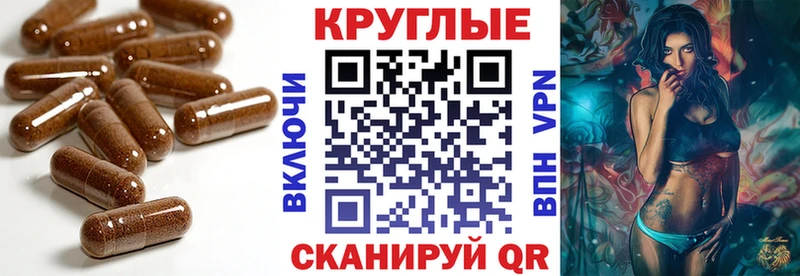 ЭКСТАЗИ Punisher  наркотики  Чудово 
