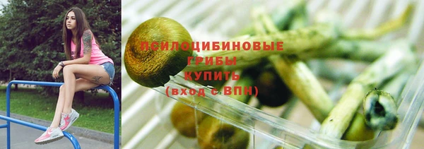 спиды Аркадак